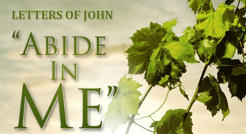 Letters of John VS Once Saved Always Saved