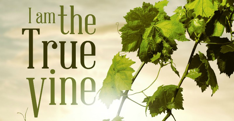 John 15:1-6 - The Vine and The Branches